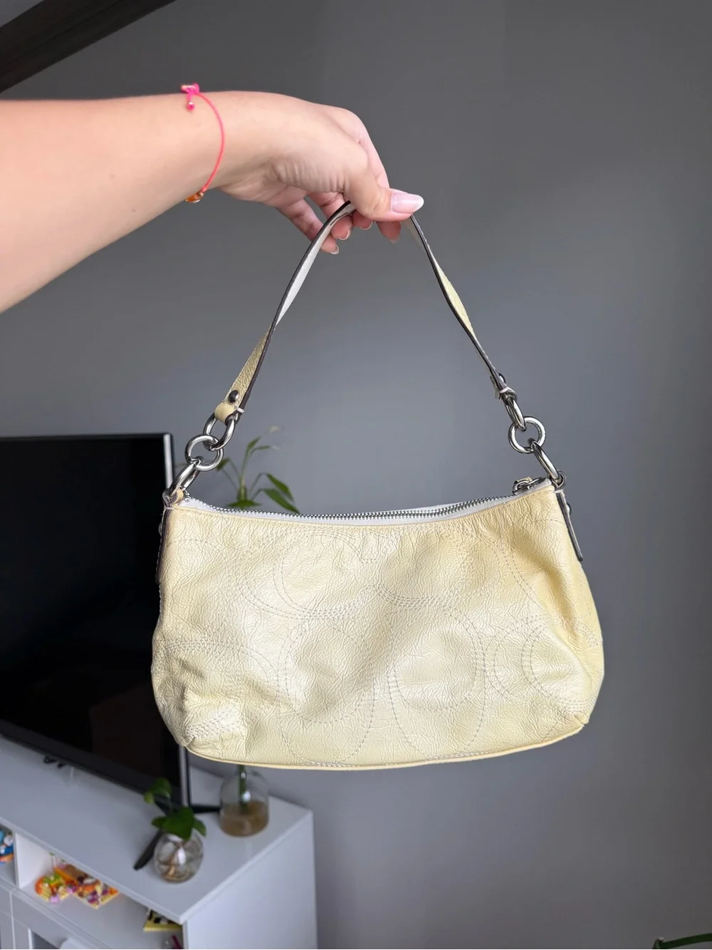 Coach bag are vivid